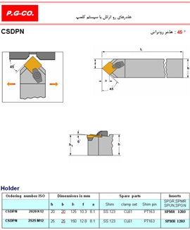 CSDPN